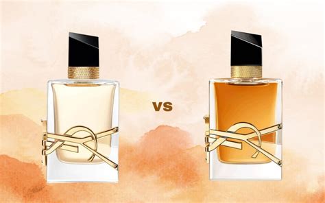 burberry goddess vs ysl libre intense